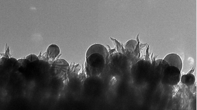 ORNL researchers developed a catalyst made of copper nanoparticles (seen as spheres) embedded in carbon nanospikes that can convert carbon dioxide into ethanol.