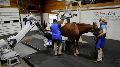 In this Thursday, Sept. 15, 2016, photo, Medical Director Dr. Barbara Dallap Schaer, right, and Radiologist Dr. Kathryn Wulster hold a horse as a computerized tomography scan is conducted at the University of Pennsylvania's New Bolton Center Hospital for Large Animals in Kennett Square, Pa. Robotic CT at the university's veterinary school allows a horse to remain awake and standing as scanners on two mechanical arms move around it. The resulting high-quality images, including some in 3D, for the first time offer detailed anatomical views of the animal in its normal, upright state.