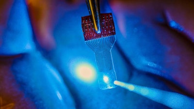 A blue light shines through a clear, implantable medical sensor onto a brain model. See-through sensors, which have been developed by a team of UW-Madison engineers, should help neural researchers better view brain activity.