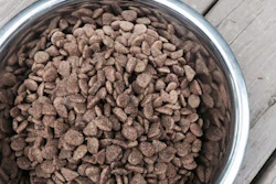Dog Food Flickr 581c92a76d36f