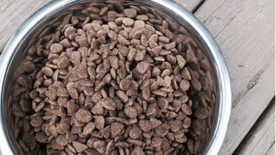 Dog Food Flickr 581c92a76d36f