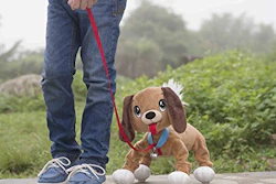 According to WATCH, despite the industry’s standard requiring strings on playpen and crib toys to be less than 12 inches in length, manufacturers are permitted to market pull toys like the “Peppy Pup,” with a cord measuring approximately 31 inches.