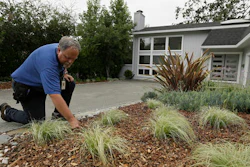 In this photo taken Tuesday, Aug. 23, 2016, city water resources specialist Randy Barron looks over a garden made to use less amount of water outside a Lomita Heights home in Santa Rosa, Calif. California water agencies that spent more than $350 million in the last two years of drought to pay property owners to rip out water-slurping lawns are now trying to answer whether the nation's biggest lawn removal experiment was all worth the cost.