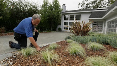 In this photo taken Tuesday, Aug. 23, 2016, city water resources specialist Randy Barron looks over a garden made to use less amount of water outside a Lomita Heights home in Santa Rosa, Calif. California water agencies that spent more than $350 million in the last two years of drought to pay property owners to rip out water-slurping lawns are now trying to answer whether the nation's biggest lawn removal experiment was all worth the cost.