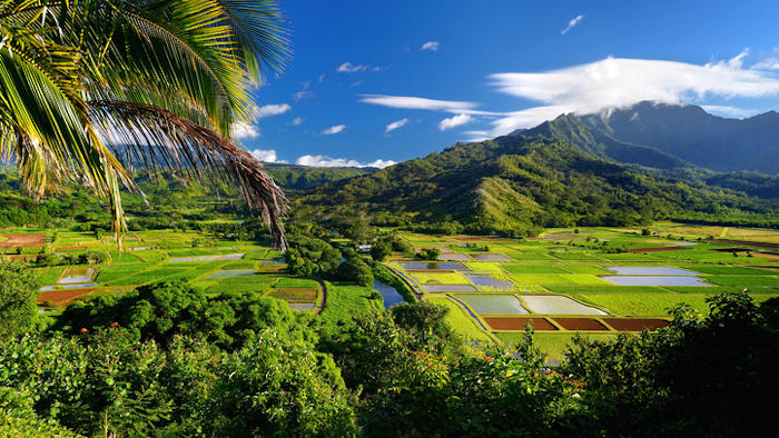 Pictured: Hawaii