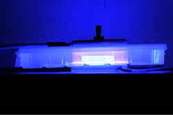During the high-voltage atmospheric cold plasma treatment, tens of chemical reactions take place each second within the plasma chamber, creating light energy emissions that the researchers can measure to identify what reactions are taking place.