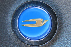 Bluebird Logo 5890b79e4e225