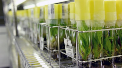 To preserve this many varieties, the bioengineers use a cold chamber and cryotanks.