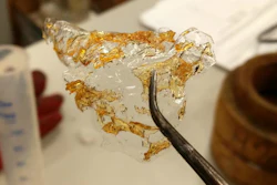 Chitosan film made from shrimp shell in the early developmental phase.