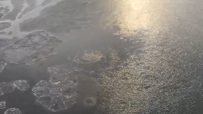 A Hilcorp helicopter crew Feb. 7 spotted gas bubbling to the surface about four miles off shore.