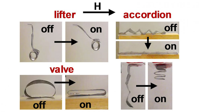Researchers at NC State University have created several soft robot devices that make use of a fundamental advance in controlling soft robots. The new technique uses magnetic fields to remotely manipulate microparticle chains embedded in soft polymers.