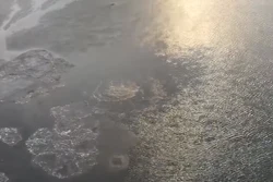 A Hilcorp helicopter crew Feb. 7 spotted gas bubbling to the surface about four miles off shore.