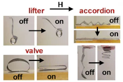 Researchers at NC State University have created several soft robot devices that make use of a fundamental advance in controlling soft robots. The new technique uses magnetic fields to remotely manipulate microparticle chains embedded in soft polymers.