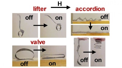 Researchers at NC State University have created several soft robot devices that make use of a fundamental advance in controlling soft robots. The new technique uses magnetic fields to remotely manipulate microparticle chains embedded in soft polymers.