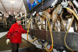 In this March 5, 2009, file photo, an Hispanic man works at a dairy farm in Fairfield, Vt. U.S dairy farmers struggling with low milk prices worry that President Donald Trump's 2017 talk of renegotiating the North American Free Trade Agreement could harm trade to Mexico, its biggest export market.