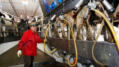In this March 5, 2009, file photo, an Hispanic man works at a dairy farm in Fairfield, Vt. U.S dairy farmers struggling with low milk prices worry that President Donald Trump's 2017 talk of renegotiating the North American Free Trade Agreement could harm trade to Mexico, its biggest export market.