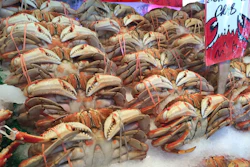 Seafood Pexels 58ff5c1fb34d9