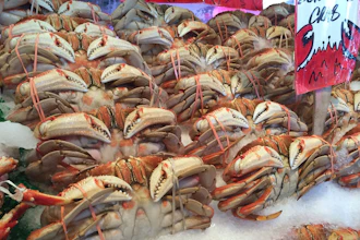Seafood Pexels 58ff5c1fb34d9
