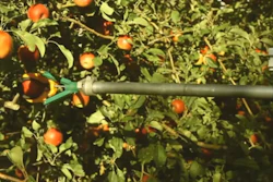The first Fresh Fruit Robotic Harvester from FFRobotics.