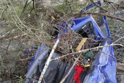 A pickup truck was plucked from its parking spot in the Steelhead neighborhood and wrapped around tree.