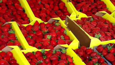 This Aug. 12, 2005 file photo shows organically grown strawberries for sale at a roadside stand in Watsonville, Calif. Jurors have sided with a California research university in its dispute with a renowned plant scientist credited with developing tasty strawberries as a professor there. Jurors in a San Francisco federal court said Wednesday, May 24, 2017, that professor Shaw broke the law when he and his research partner tried to profit from their work in a company they formed.