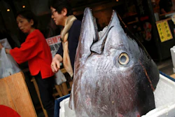 Customers walk past the head of a bluefin tuna in front of a seafood restaurant at Tsukiji fish market in Tokyo Tuesday, May 16, 2017. Criminal and civil cases allege executives at the largest canned tuna companies were agreeing to collectively raise prices and limit promotions. Major retailers are taking aim at the most popular tuna brands in the U.S. - Chicken of the Sea, Bumble Bee and StarKist - saying they conspired to keep prices high for consumers.