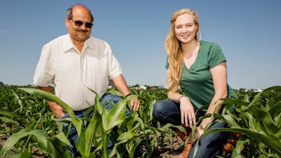 Professor Kumar and graduate student Meredith Richardson find that using corn for biofuel comes with greater environmental costs and fewer benefits than using corn for food.