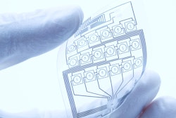 Flexible Electronics 5935736553897