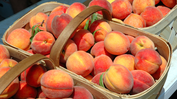 The Georgia Peach May Be Vanishing Industrial Equipment News Ien