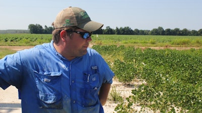 In this Tuesday, July 11, 2017, photo, East Arkansas soybean farmer Reed Storey looks at his field in Marvell, Ark. Storey said half of his soybean crop has shown damage from dicamba, an herbicide that has drifted onto unprotected fields and spawned hundreds of complaints from farmers.