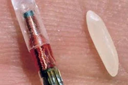 Microchip Rfid Rice