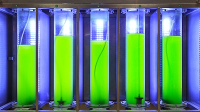 Algae Biofuel 5964eb5370a14