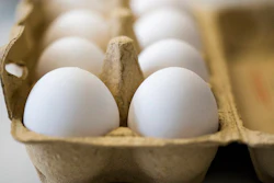 In this photo taken Monday, Aug. 7, 2017 Eggs are kept fresh in an egg-box in a laboratory of the Chemical and Veterinary Investigation Office in Krefeld, Germany. Dutch investigators detained two men Thursday who are suspected of being involved in the illegal use of pesticide at poultry farms that sparked a massive food safety scare in several European countries.