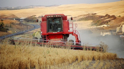In this 2005 photo provided by the USA Dry Pea & Lentil Council, farmer Roy Kopf harvests chickpeas, east of Pullman, Wash. Changing consumer tastes for healthy high protein food are driving a boom in the demand for crops like chickpeas and lentils and some farmers, faced with the lowest wheat prices in nearly a century, have chosen to plant less wheat and more of these higher profit crops driving them to record production levels this year.