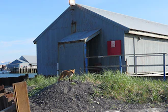 Peter Pan's processing facility at Port Moller, 550 miles southwest of Anchorage.
