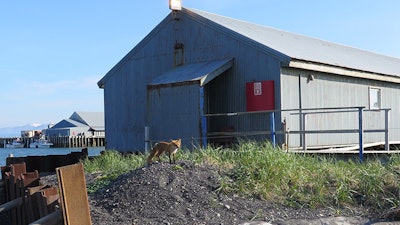 Peter Pan's processing facility at Port Moller, 550 miles southwest of Anchorage.