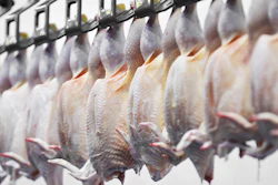 Poultry Processing