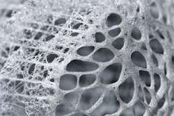 The glass fibers that make up the Euplectella aspergillum sponge are surprisingly strong and flexible.