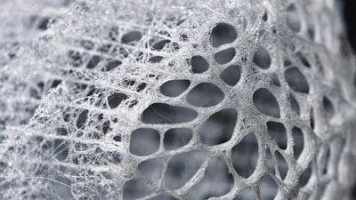 Sea sponges use protein filament to pattern silica deposition and build  intricate glass spicules - The American Ceramic Society