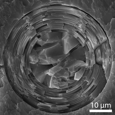 A cross-section of an Euplectella aspergillum spicule showing the arrangement of microscopic concentric layers of glass inside it.