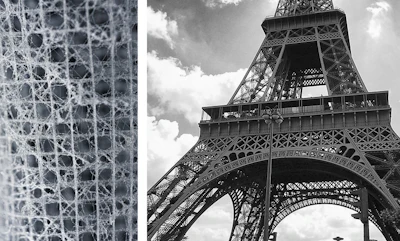 The intricate skeleton of Euplectella aspergillum (left), and the Eiffel Tower (right). Both structures are composed of an assembly of beam-like elements.