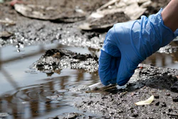 Water Testing