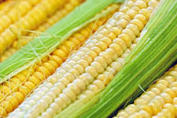 Corn Pixabay