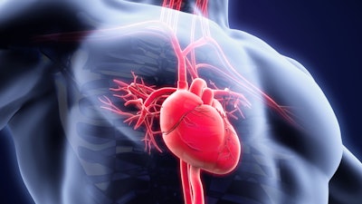 Human Heart Anatomy 000055619484 Small