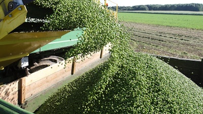 Pea Harvest