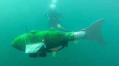 A Michigan State University project funded by NSF will seek to advance technology for search-and-rescue missions, including robotic fish.