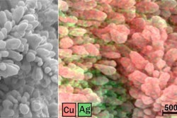 At left is a surface view of a bimetallic copper-silver nanocoral cathode taken from a scanning electron micrograph. To the right is an energy-dispersive X-ray image of the cathode with the copper (in pink/red) and silver (in green) highlighted.
