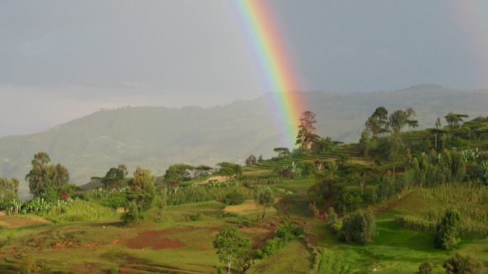 Smallholder agriculture in southern Ethiopia. Smallholder farmers are particularly vulnerable to food insecurity.