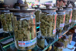 In this April 23, 2017, file photo, large jars of marijuana are on display for sale at the Cali Gold Genetics booth during the High Times Cannabis Cup in San Bernardino, Calif. California is kicking off recreational marijuana sales on Jan. 1, 2018, but there will be plenty of confusion as the new market takes shape. Some places are banning sales, while only a small number appear ready to issue licenses.