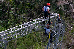 In this Oct. 15, 2017, file photo, Whitefish Energy Holdings workers restore power lines damaged by Hurricane Maria in Barceloneta, Puerto Rico. The Federal Emergency Management Agency said Oct. 27, it had no involvement in the decision to award a $300 million contract to help restore Puerto Rico's power grid to a tiny Montana company in Interior Secretary Ryan Zinke’s hometown. FEMA said in a statement that any language in the controversial contract saying the agency approved of the deal with Whitefish Energy Holdings is inaccurate.